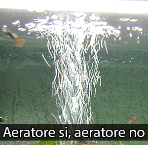 aereatore acquario