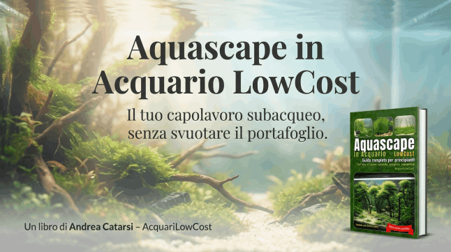 Aquascape in acquario lowcost