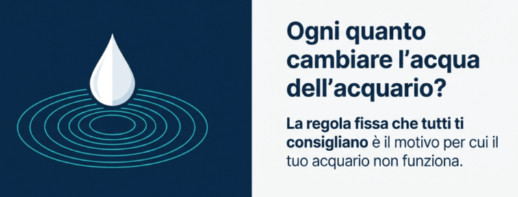 Ogni quanto cambiare l'acqua dell'acquario?