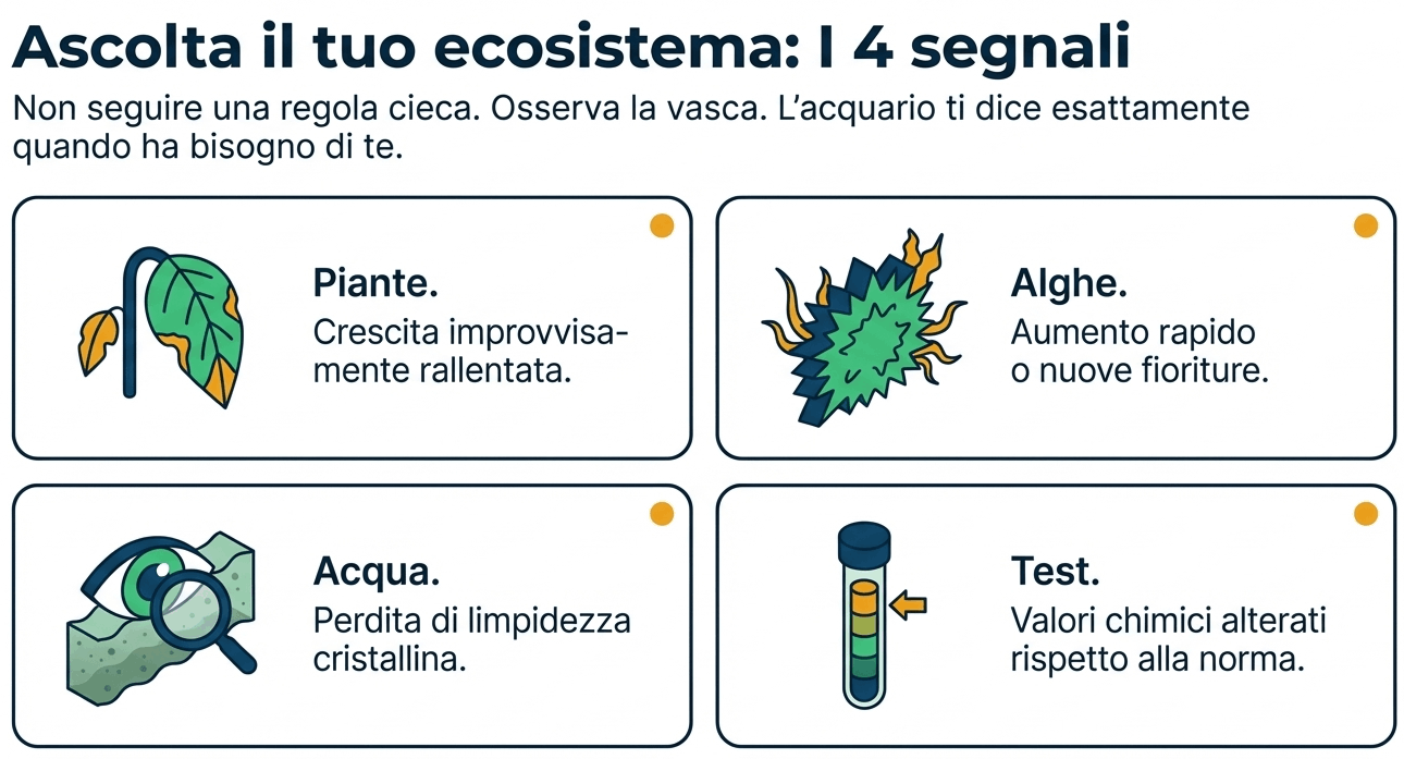 segnali che dicono di cambiare l'acqua
