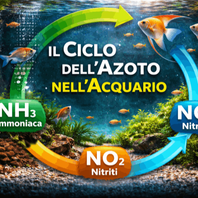 Ciclo dell'azoto in acquario