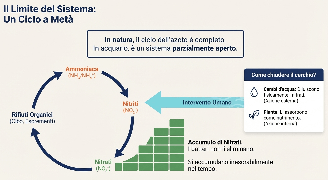 ciclo incompleto
