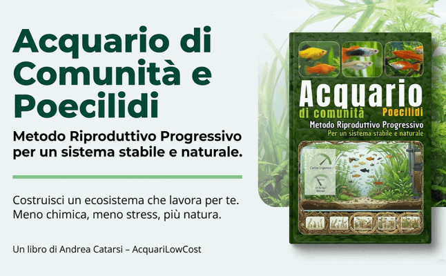 Acquario di comunità e poecilidi
