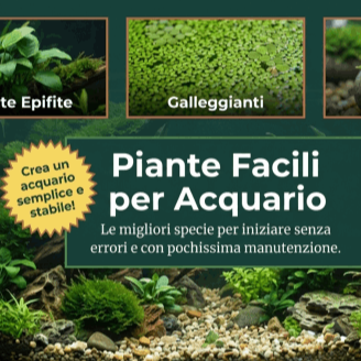Piante facili acquario