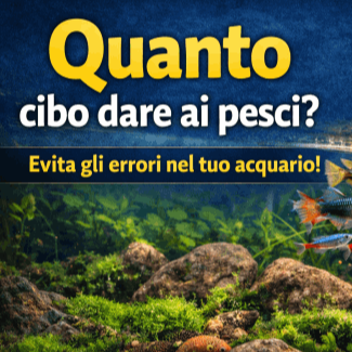 Quanto cibo dare ai pesci?